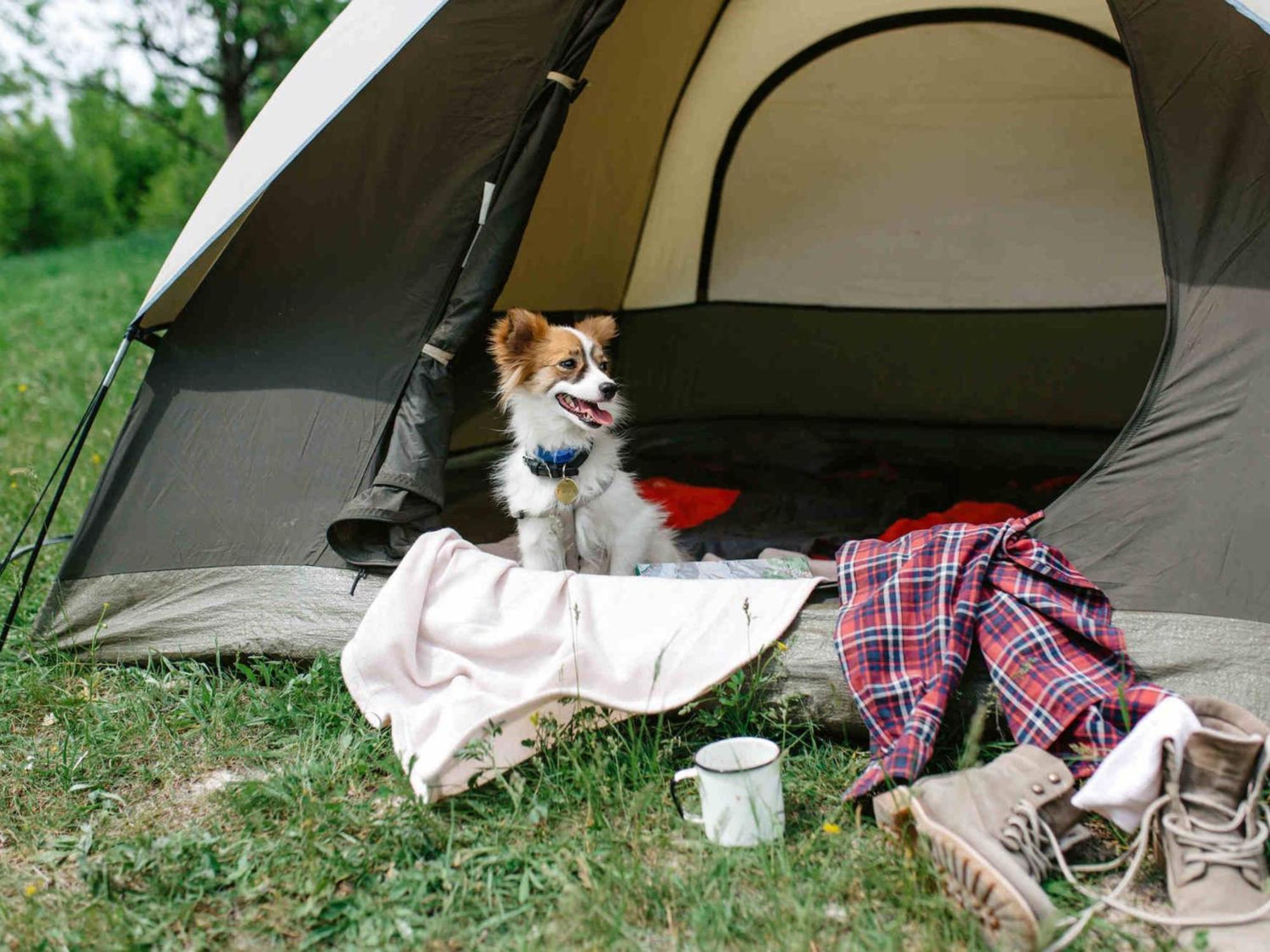 Camping Solopuent Castiello De Jaca Natur Extérieur photo